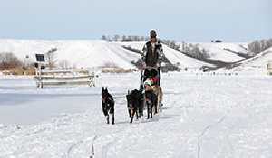 Winter Wonderland at Moosomin Regional Park rescheduled for March 15